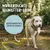 Rudelkönig Lounge pour chien - 5/10m Laisse avec dragonne Rudelkönig Lounge pour chien - 5/10m Laisse avec dragonne