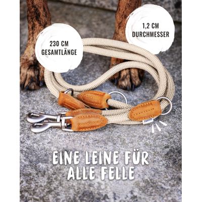 Rudelkönig Hundeleine Emma mit Lederdetails aus Kletterseil