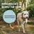 Rudelkönig Lounge pour chien - 5/10m Laisse avec dragonne Rudelkönig Lounge pour chien - 5/10m Laisse avec dragonne