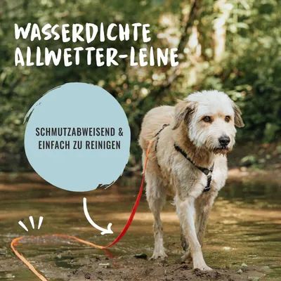 Rudelkönig Lounge pour chien - 5/10m Laisse avec dragonne Rudelkönig Lounge pour chien - 5/10m Laisse avec dragonne