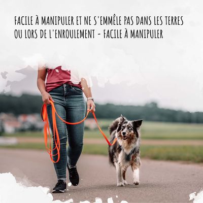 Rudelkönig Lounge pour chien - 5/10m Laisse avec dragonne
