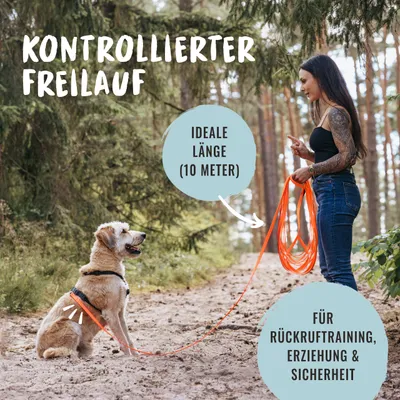Rudelkönig Lounge pour chien - 5/10m Laisse avec dragonne Rudelkönig Lounge pour chien - 5/10m Laisse avec dragonne