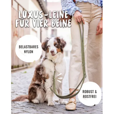 Rudelkönig laisse pour chien Bella reglable Rudelkönig laisse pour chien Bella reglable