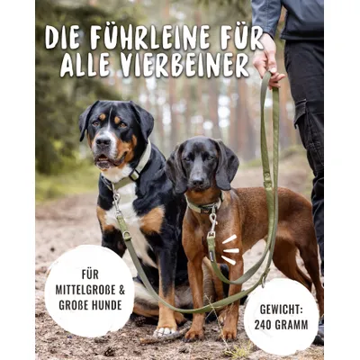 Rudelkönig laisse pour chien Bella reglable Rudelkönig laisse pour chien Bella reglable