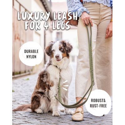 Rudelkönig laisse pour chien Bella reglable