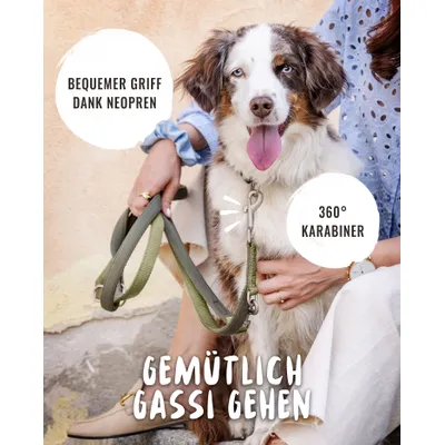Rudelkönig Hundeleine gepolstert & robust