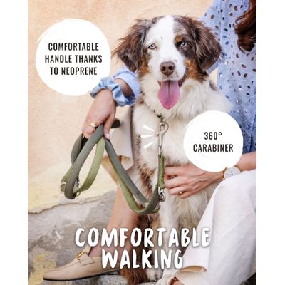 Rudelkönig laisse pour chien Bella reglable