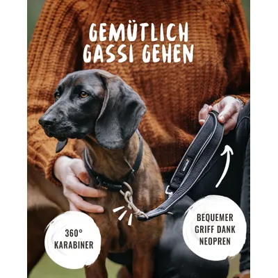 Rudelkönig Laisse pour chien Paola avec rembourrage réfléchissant Rudelkönig Laisse pour chien Paola avec rembourrage réfléchissant
