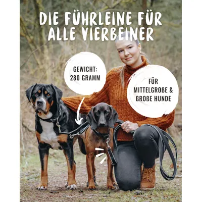 Rudelkönig Laisse pour chien Paola avec rembourrage réfléchissant Rudelkönig Laisse pour chien Paola avec rembourrage réfléchissant