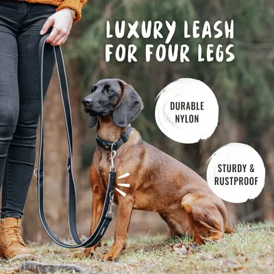Rudelkönig Laisse pour chien Paola avec rembourrage réfléchissant Rudelkönig Laisse pour chien Paola avec rembourrage réfléchissant