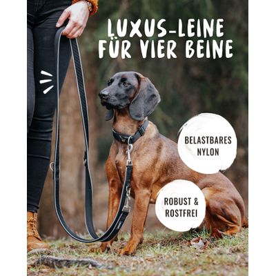 Rudelkönig Hundeleine gepolstert & robust
