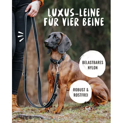 Rudelkönig Laisse pour chien Paola avec rembourrage réfléchissant Rudelkönig Laisse pour chien Paola avec rembourrage réfléchissant