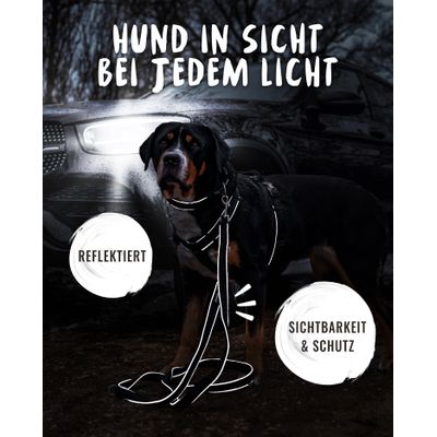 Rudelkönig Hundeleine gepolstert & robust
