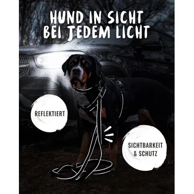 Rudelkönig Laisse pour chien Paola avec rembourrage réfléchissant Rudelkönig Laisse pour chien Paola avec rembourrage réfléchissant