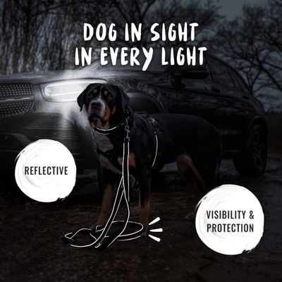 Rudelkönig Laisse pour chien Paola avec rembourrage réfléchissant