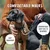 Rudelkönig Laisse pour chien Paola avec rembourrage réfléchissant Rudelkönig Laisse pour chien Paola avec rembourrage réfléchissant