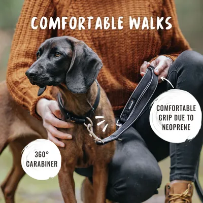 Rudelkönig Laisse pour chien Paola avec rembourrage réfléchissant Rudelkönig Laisse pour chien Paola avec rembourrage réfléchissant