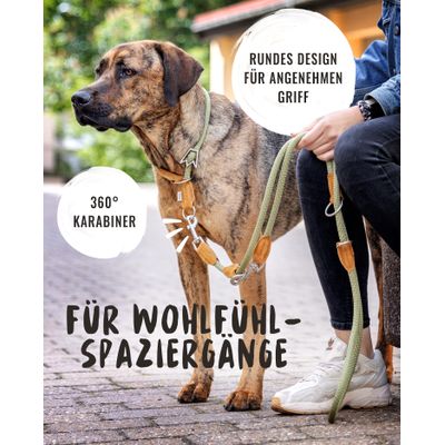 Rudelkönig Hundeleine Emma mit Lederdetails aus Kletterseil