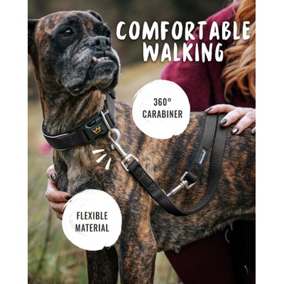 Rudelkönig Laisse pour chien Frida réglable