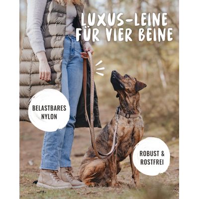 Rudelkönig Hundeleine gepolstert & robust