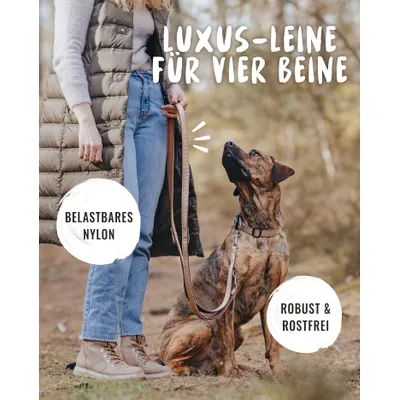 Rudelkönig Laisse pour chien Paola avec rembourrage réfléchissant Rudelkönig Laisse pour chien Paola avec rembourrage réfléchissant