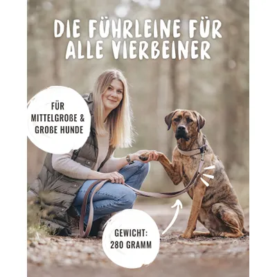 Rudelkönig Laisse pour chien Paola avec rembourrage réfléchissant Rudelkönig Laisse pour chien Paola avec rembourrage réfléchissant