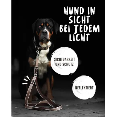 Rudelkönig Laisse pour chien Paola avec rembourrage réfléchissant Rudelkönig Laisse pour chien Paola avec rembourrage réfléchissant