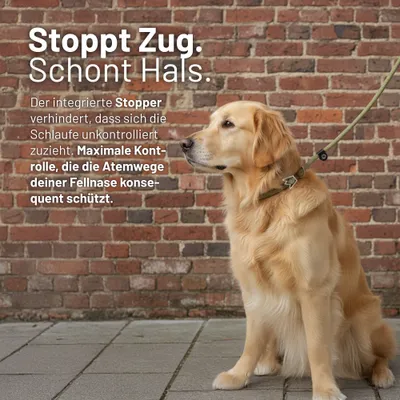 Rudelkönig Retrieverleine Tilda mit Zugstopp Rudelkönig Retrieverleine Tilda mit Zugstopp