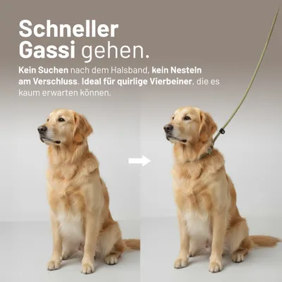 Rudelkönig Retrieverleine Tilda mit Zugstopp Rudelkönig Retrieverleine Tilda mit Zugstopp