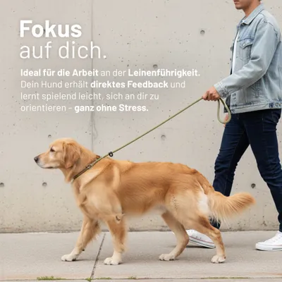 Rudelkönig Retrieverleine Tilda mit Zugstopp Rudelkönig Retrieverleine Tilda mit Zugstopp