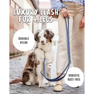 Rudelkönig laisse pour chien Bella reglable Rudelkönig laisse pour chien Bella reglable