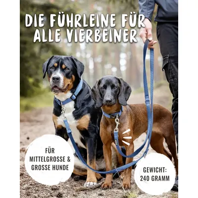 Rudelkönig Hundeleine gepolstert & robust Rudelkönig Hundeleine gepolstert & robust