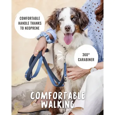 Rudelkönig laisse pour chien Bella reglable Rudelkönig laisse pour chien Bella reglable