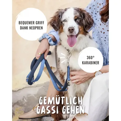 Rudelkönig Hundeleine gepolstert & robust Rudelkönig Hundeleine gepolstert & robust