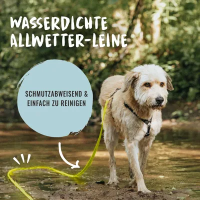 Rudelkönig Lounge pour chien - 5/10m Laisse avec dragonne Rudelkönig Lounge pour chien - 5/10m Laisse avec dragonne