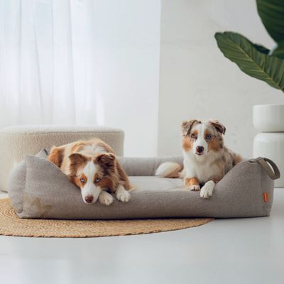 Rudelkönig Orthopädisches Hundebett Koye mit Memory Foam