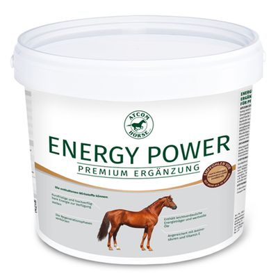 ATCOM ENERGY POWER