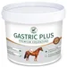 ATCOM GASTRIC PLUS