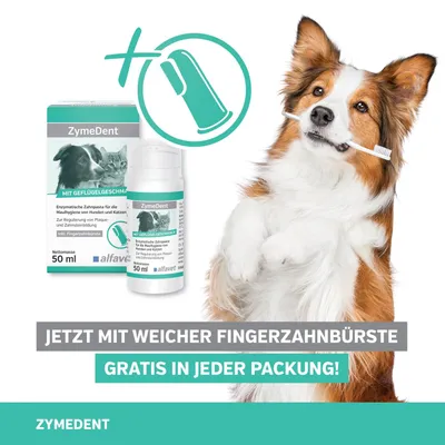 Alfavet ZymeDent Zahnpasta Alfavet ZymeDent Zahnpasta