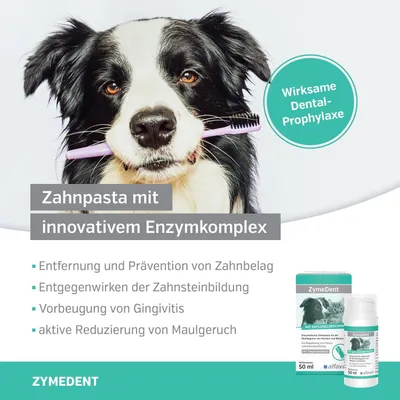 Alfavet ZymeDent Zahnpasta Alfavet ZymeDent Zahnpasta