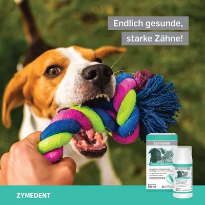 Alfavet ZymeDent Zahnpasta Alfavet ZymeDent Zahnpasta