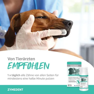 Alfavet ZymeDent Zahnpasta Alfavet ZymeDent Zahnpasta