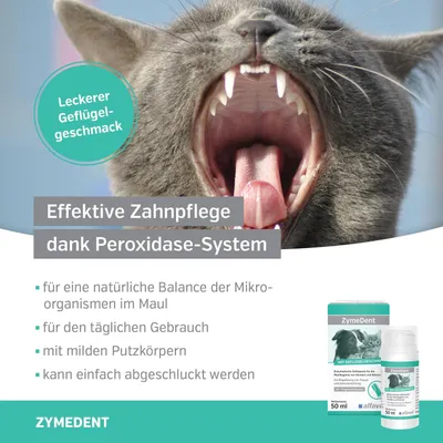 Alfavet ZymeDent Zahnpasta Alfavet ZymeDent Zahnpasta