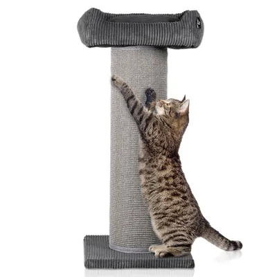 Arbre à chat en velours côtelé XL