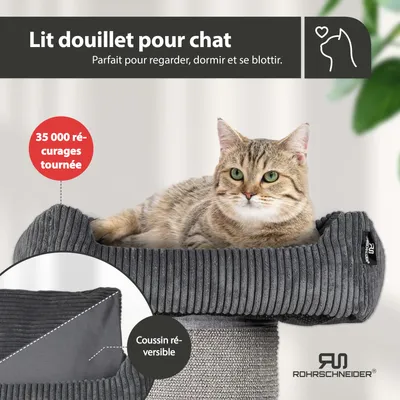 Cord Katzenbaum XL Cord Katzenbaum XL