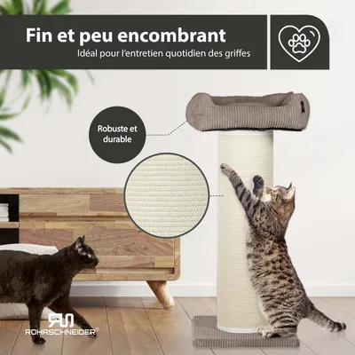 Cord Katzenbaum XL