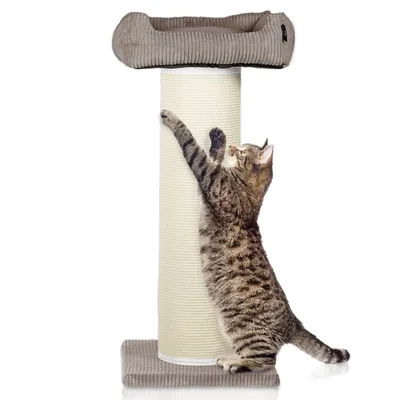 Arbre à chat en velours côtelé XL