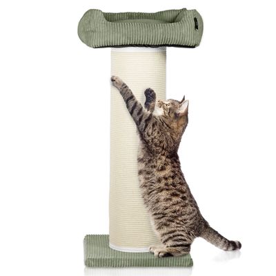 Cord Katzenbaum XL