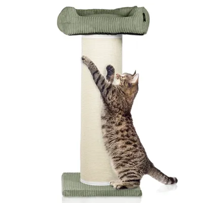 Arbre à chat en velours côtelé XL
