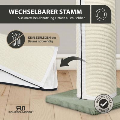 Cord Katzenbaum XL